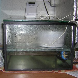 incubadora 2b.JPG