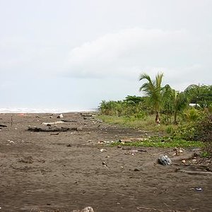Costa Rica tortuguero.JPG