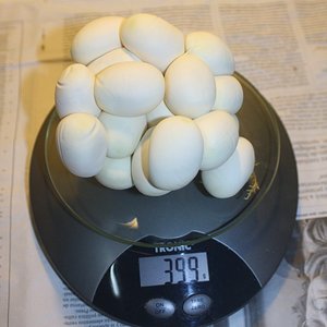 9 peso de la puesta 399g 23 huevos [1280x768].JPG