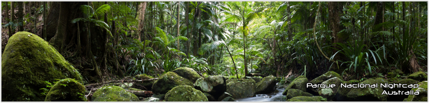 Parque Nacional Nightcap - Australia
