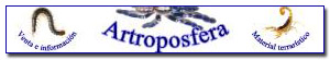 Banner de patrocinador