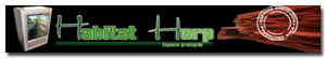 Banner de patrocinador