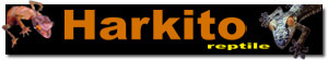 Banner de patrocinador