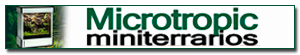 Banner de patrocinador