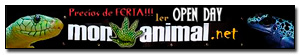 Banner de patrocinador