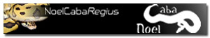 Banner de patrocinador