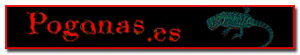 Banner de patrocinador