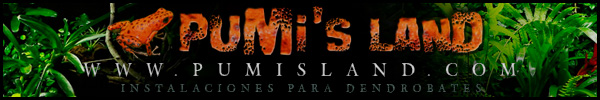 Banner de patrocinador