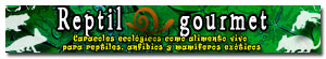 Banner de patrocinador