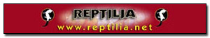 Banner de patrocinador