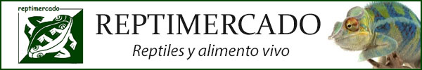 Banner de patrocinador