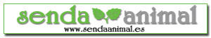 Banner de patrocinador
