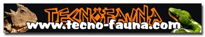 Banner de patrocinador