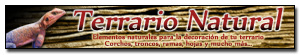 Banner de patrocinador