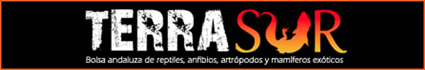 Banner de patrocinador
