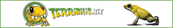 Banner de patrocinador