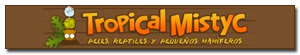 Banner de patrocinador