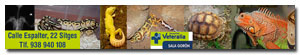 Banner de patrocinador