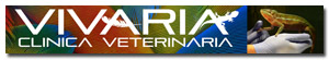 Banner de patrocinador