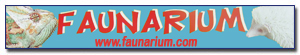 Patrocinadores