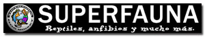 Patrocinadores
