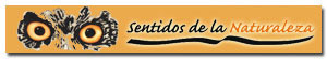 Patrocinadores