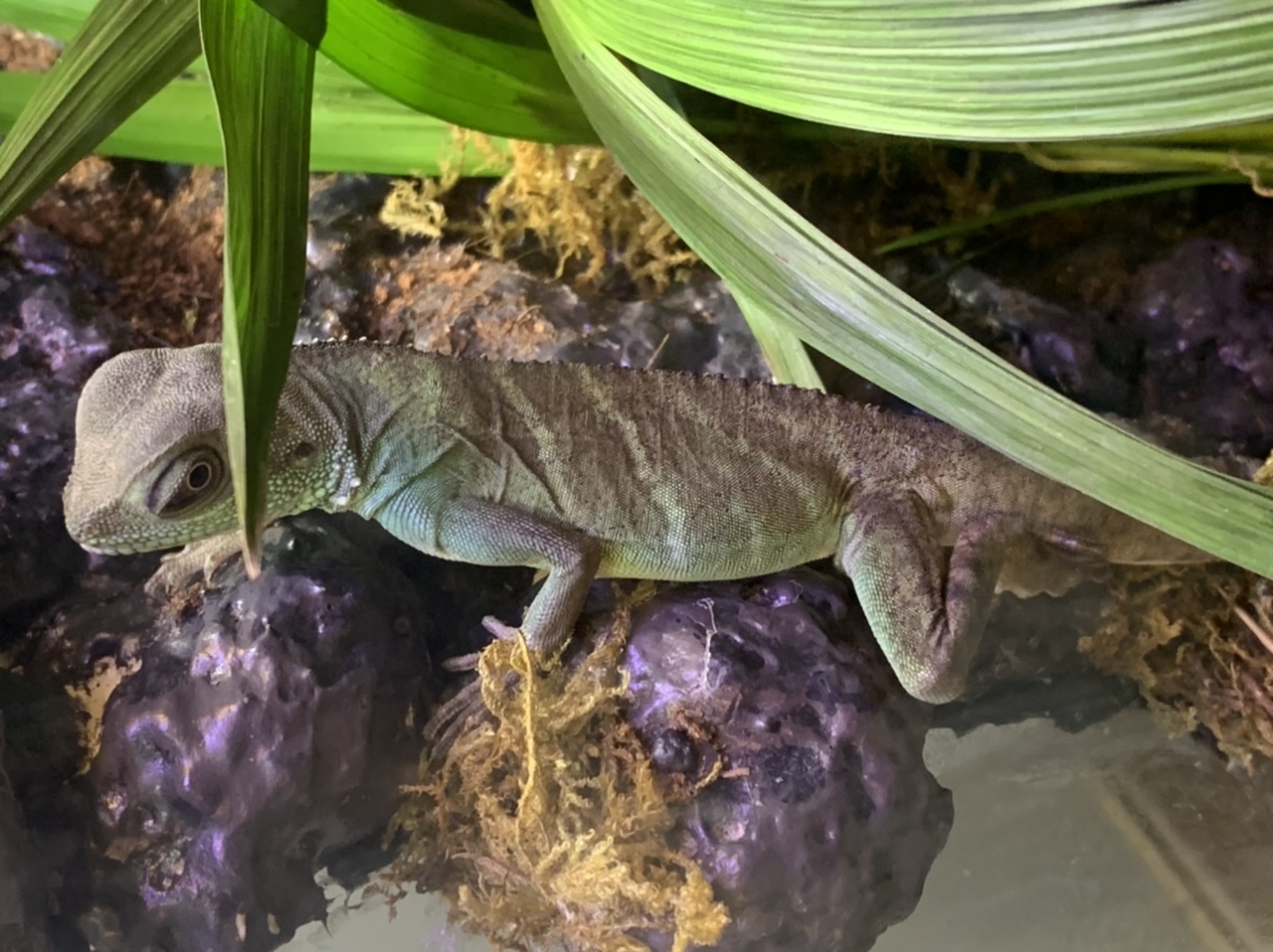 07bd7bf7-6df1-43dd-98da-0d8b75c1388a-jpeg.215785