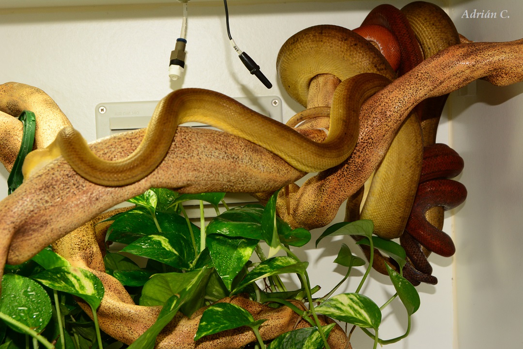 11 de Dic de 2014.JPG