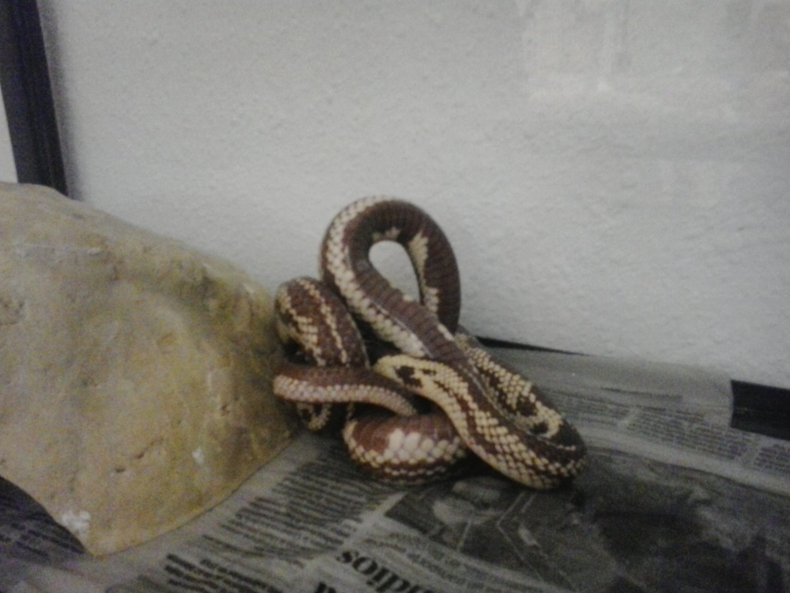 2015-06-22 22.38.39.jpg