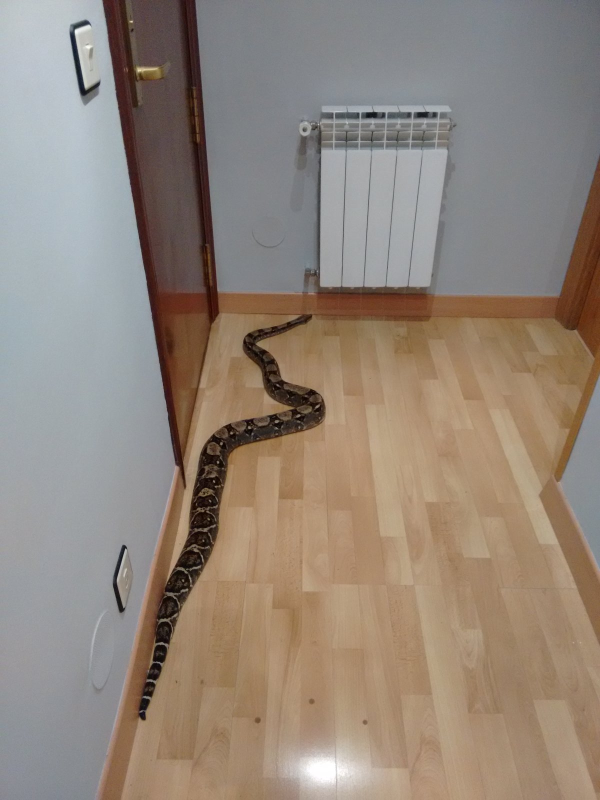 2015-07-15 19.11.18.jpg