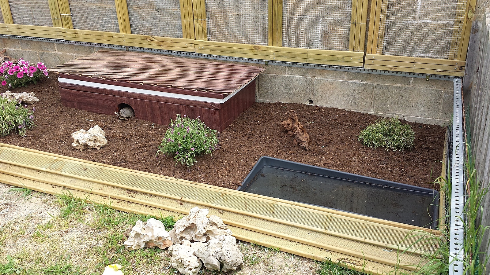 20150426_113540_opt (1).jpg