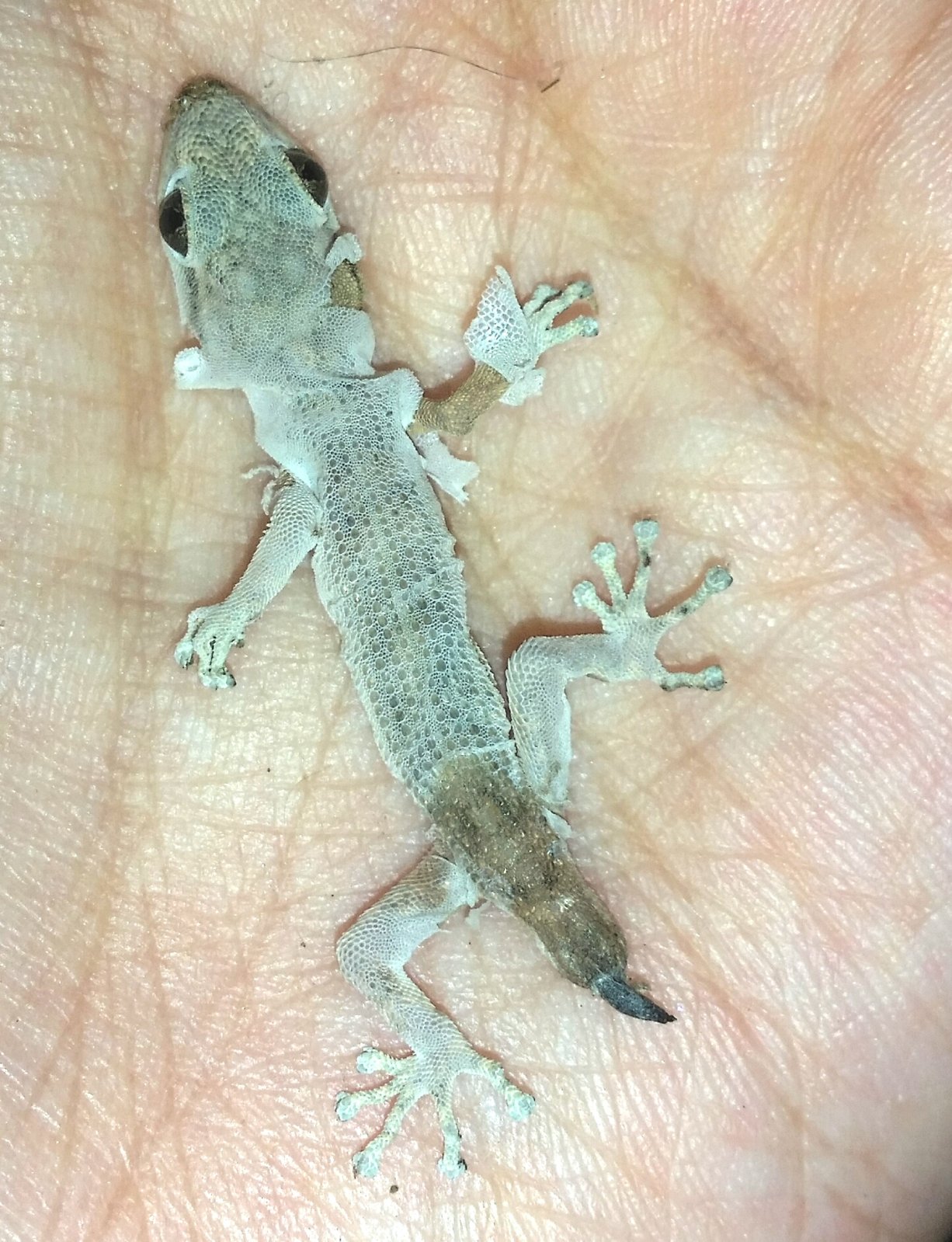 2016-02-02 22.54.27.jpg