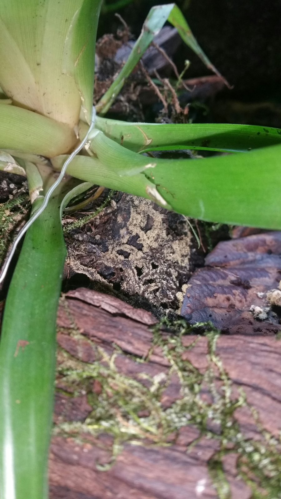 2016-05-05 22.58.16.jpg