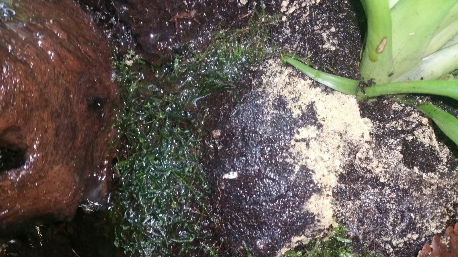 2016-05-05 22.58.38.jpg