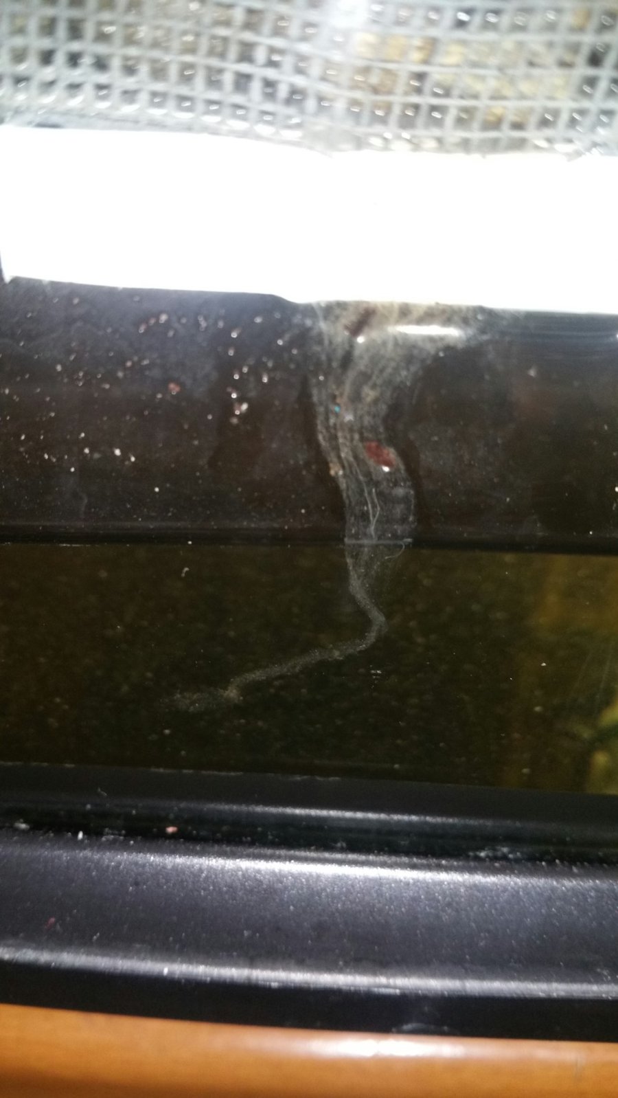 2016-05-06 23.39.49.jpg