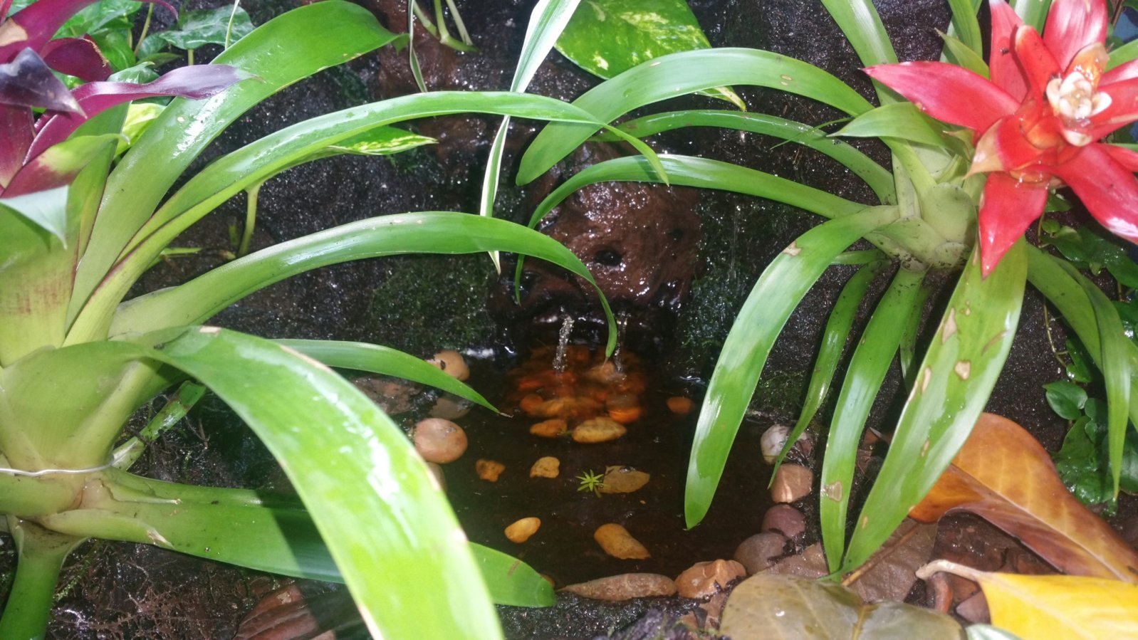 2016-05-19 08.32.20.jpg