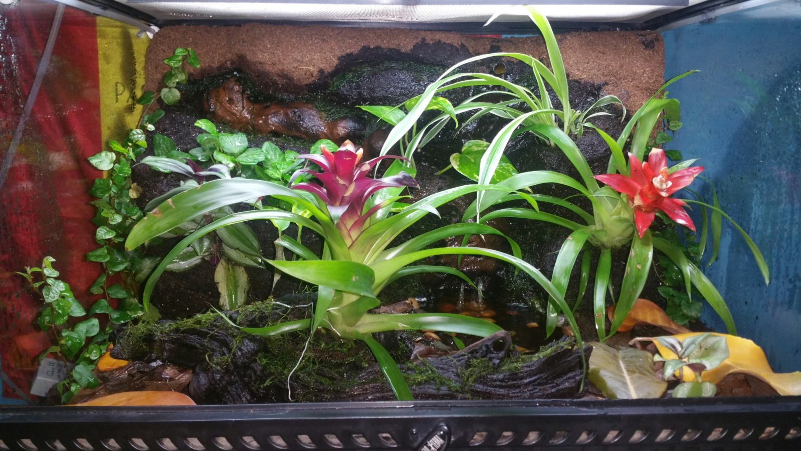 2016-05-19 08.32.39.jpg