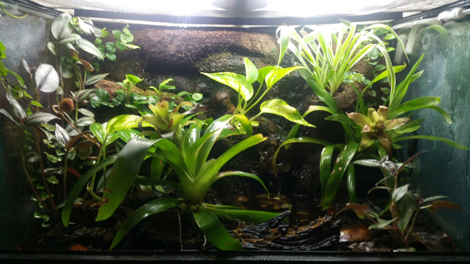 2016-07-28 17.45.07.jpg