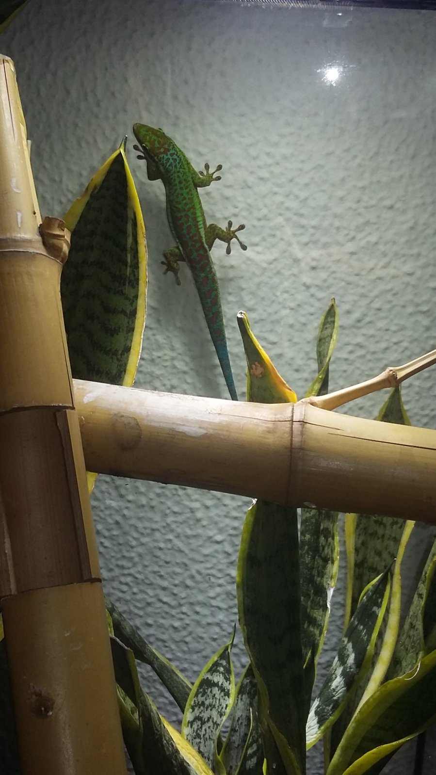 20160905_222302 (2).jpg