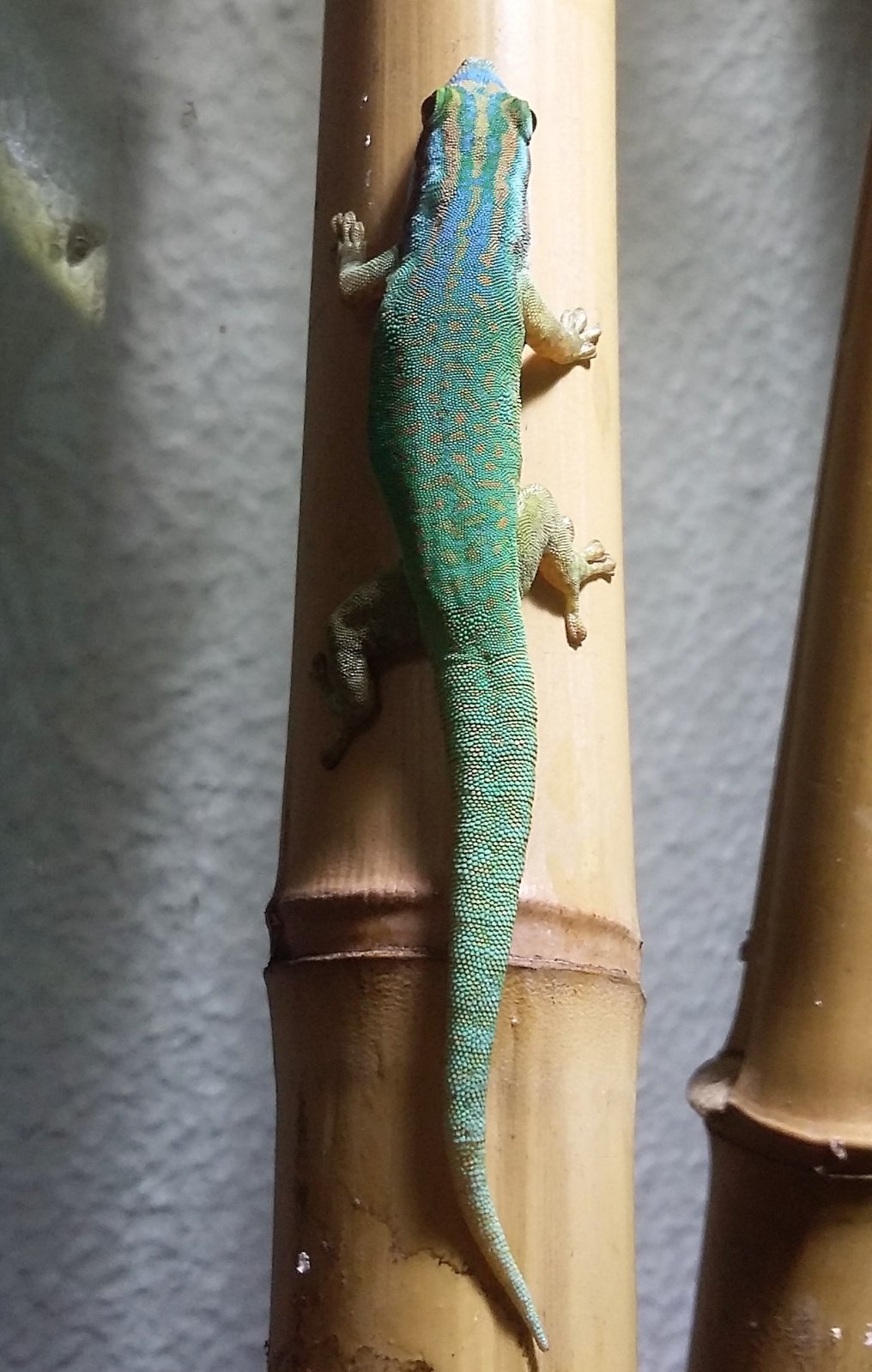 20160913_095905 (2).jpg