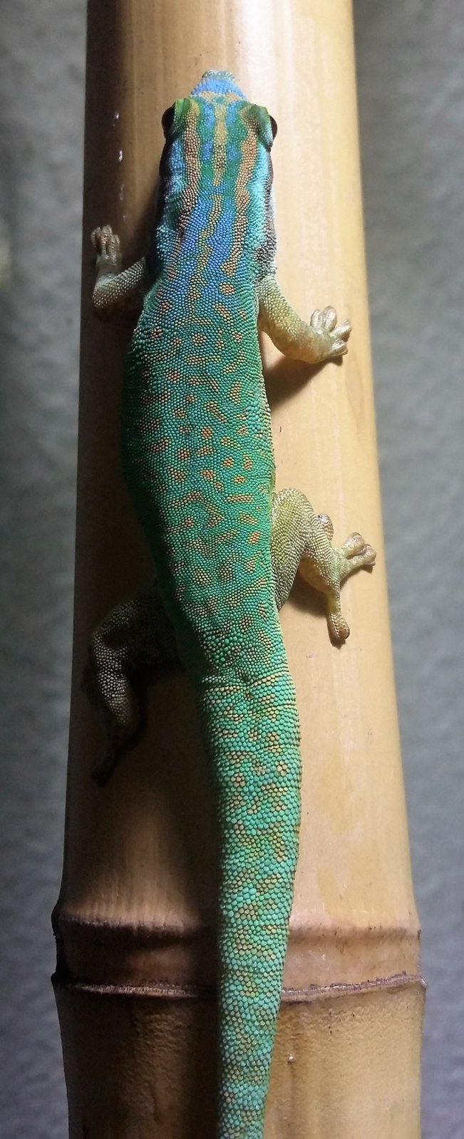 20160913_095913 (2).jpg