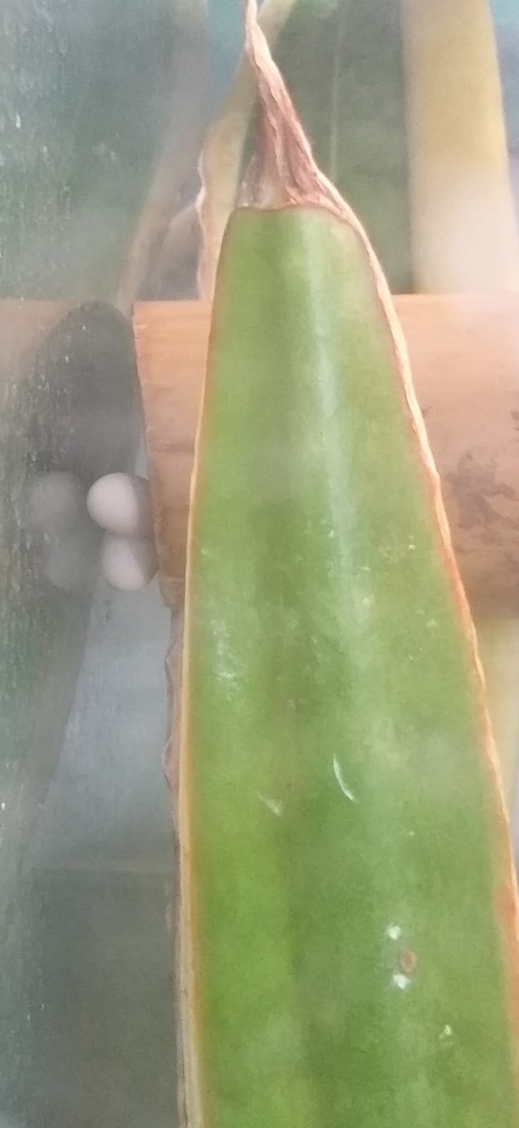 20160925_125437 (2).jpg