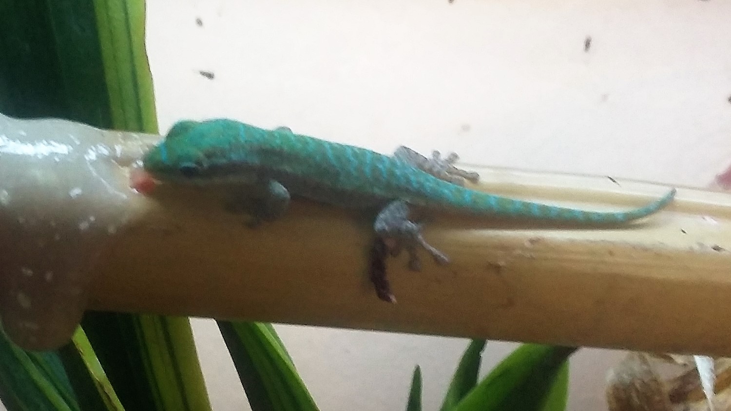 20170713_180524 (2).jpg