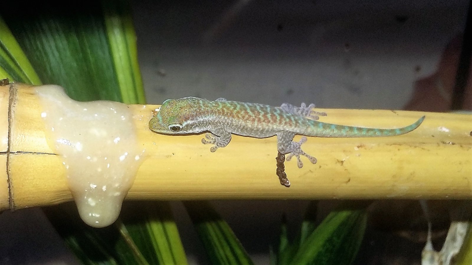 20170713_180539 (3).jpg