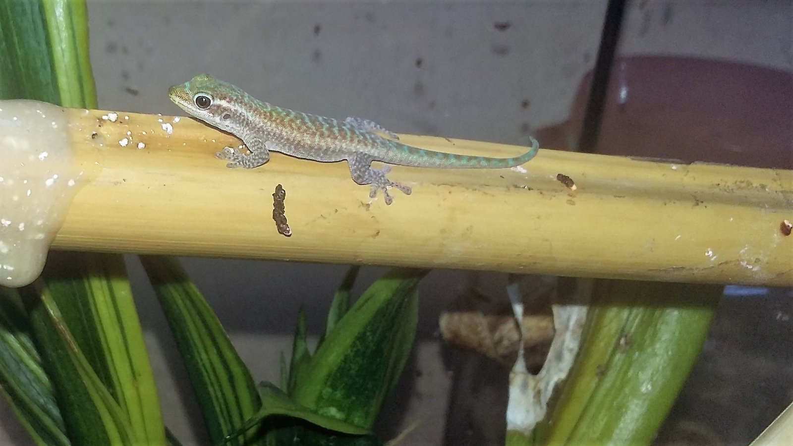 20170713_180545 (2).jpg