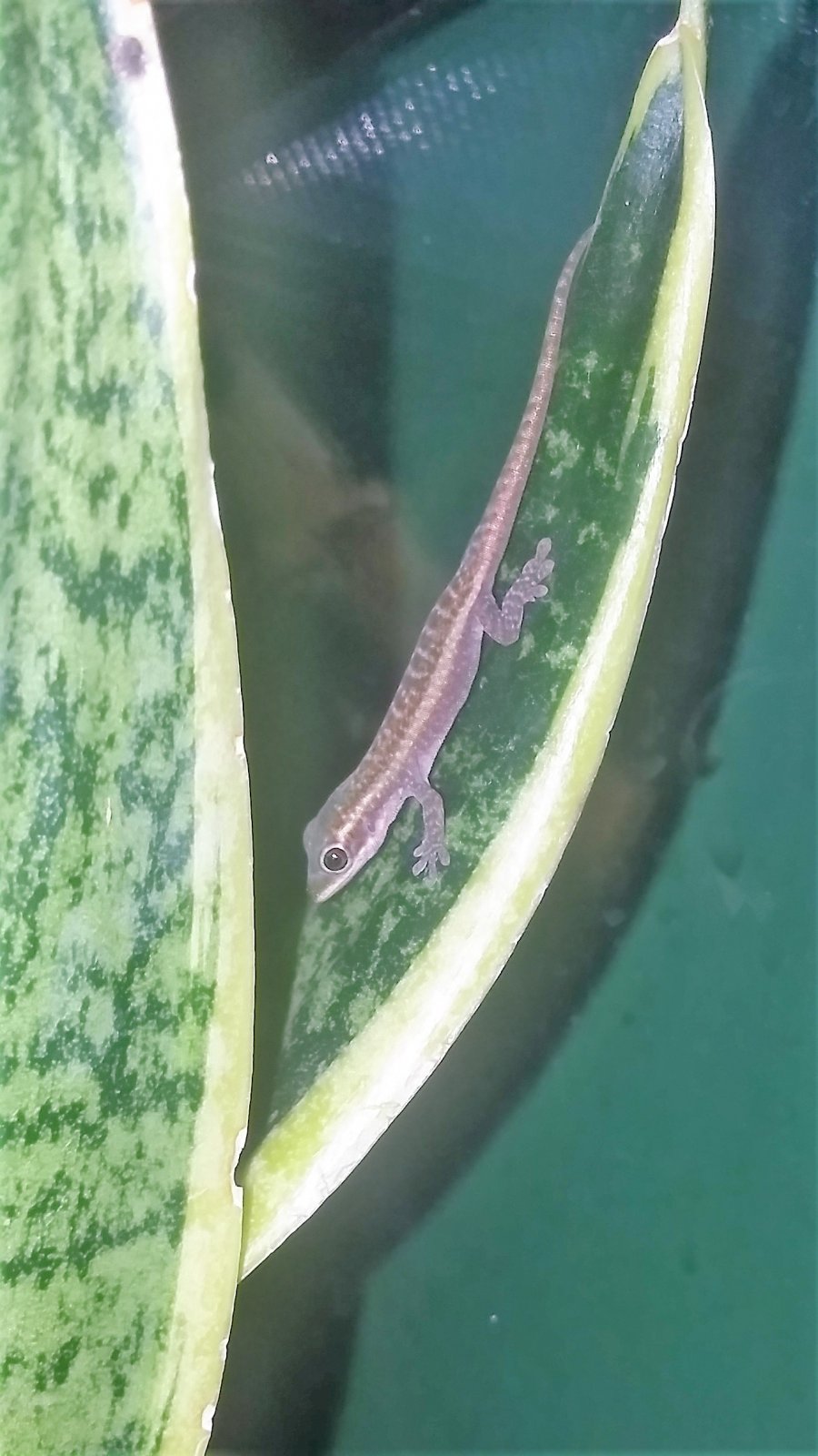 20170713_180757 (2).jpg