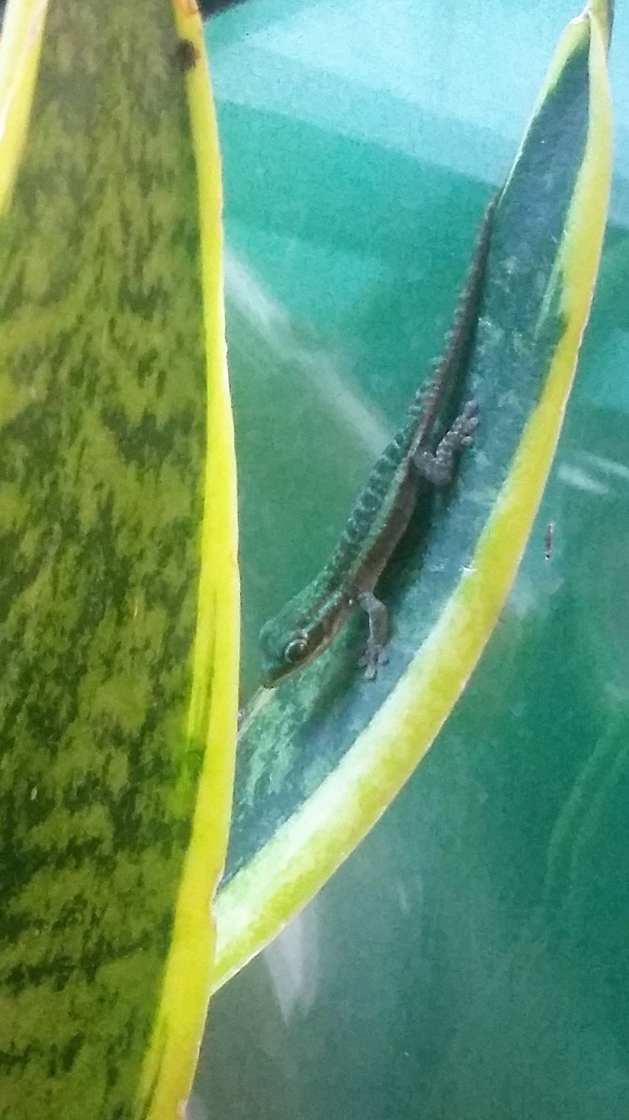 20170713_180818 (2).jpg