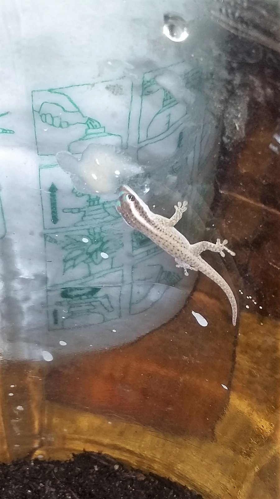 20170713_181124 (3).jpg