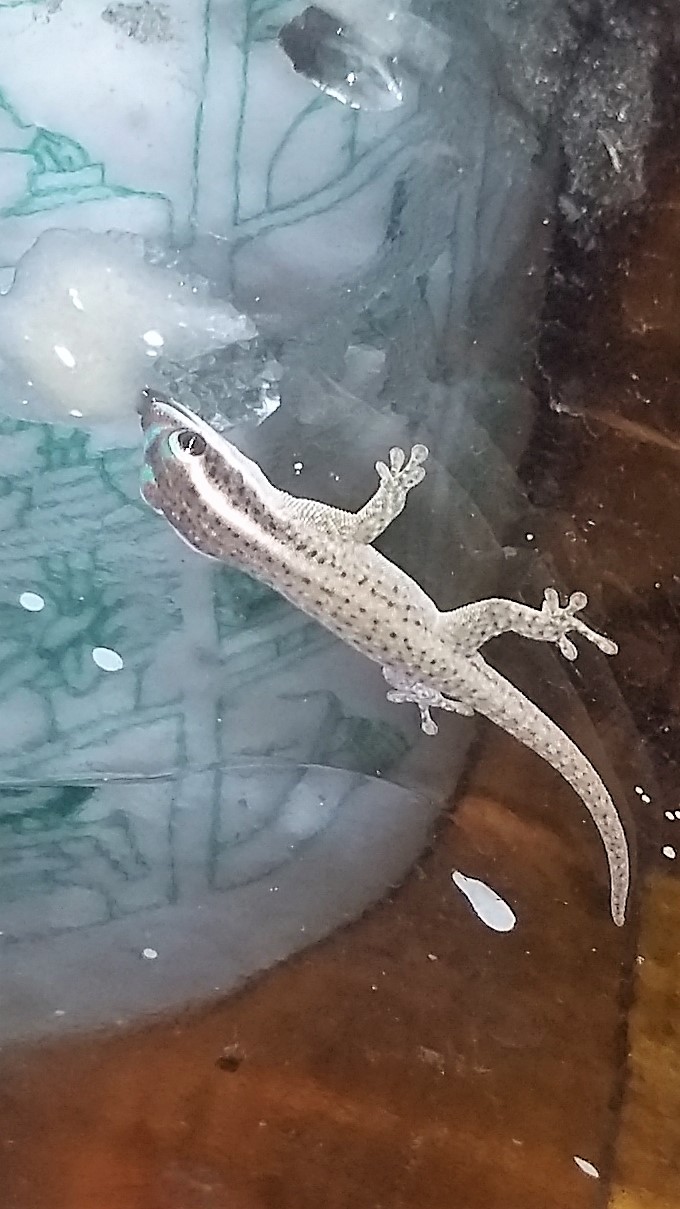 20170713_181129 (2).jpg