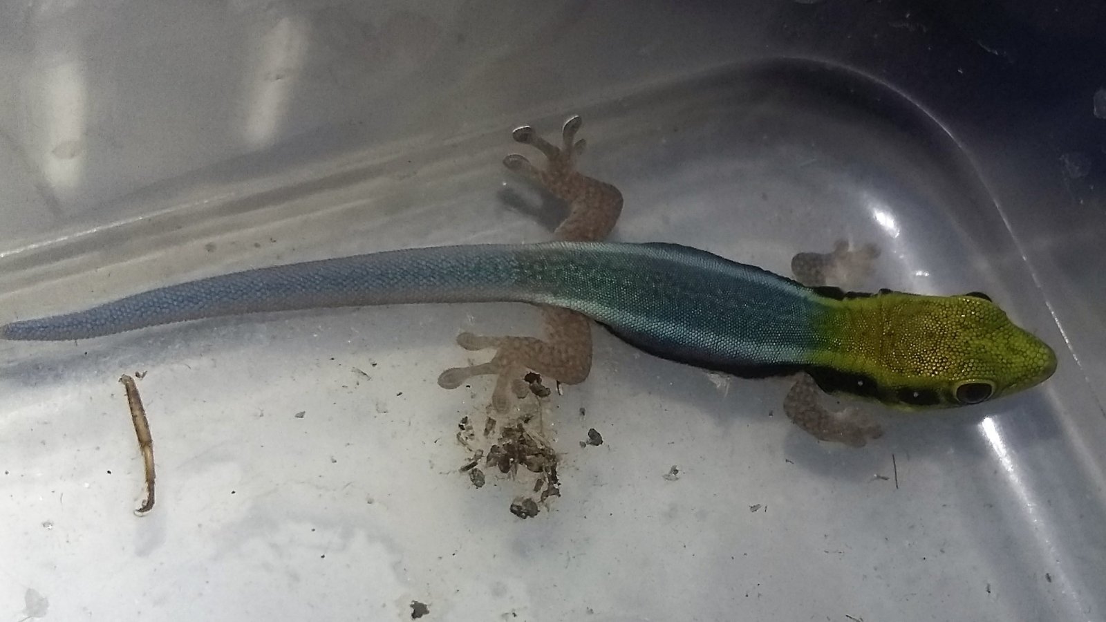 20170713_181424 (3).jpg